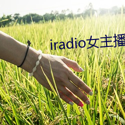 iradio女主播(播)电台