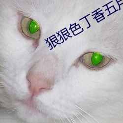 狠狠色丁香五月綜合婷婷