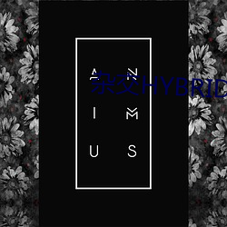 杂交HYBRIDIZATION