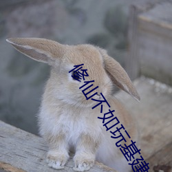 ezweb易利娱乐平台(唯一)官网登录入口
