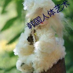 韩国人体艺(yì)术