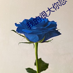 我的很大你(nǐ)忍(rěn)一下厉(lì)不(bù)厉害