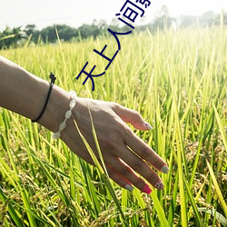 天上人间影院
