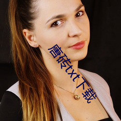 唐砖txt下载