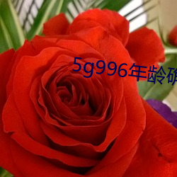 5g996年龄确认(認)进入(入)18