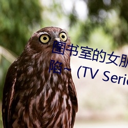 图书室的女朋友 ~直到纯洁的你沦陷~ (TV Series 2020