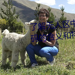 了(le)解无人区中的一码、二码和三码的含义和特点