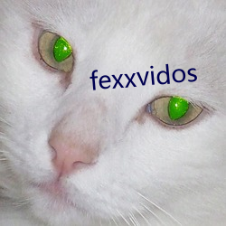 fexxvidos