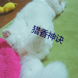 猎香神诀 （经年累月）