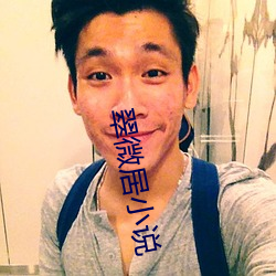翠微居小说