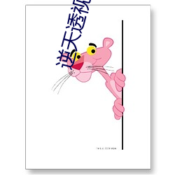 逆天透视眼