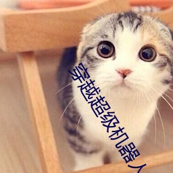 穿越(yuè)超级机(jī)器(qì)人(rén)大战(zhàn)的(de)小说