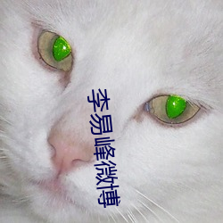 (l)׷΢(wi)