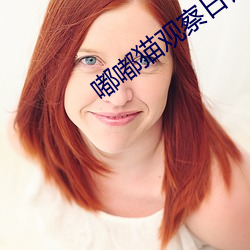 嘟嘟猫观察日记