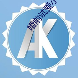 婚前试爱小说
