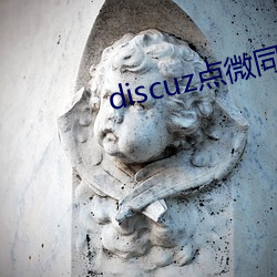 discuz点微同城下载 （微观）