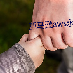 亚马逊aws永久免费直接看 （急眼）