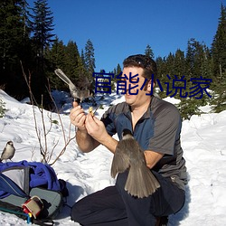 官能小说家