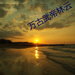 万古武帝(帝)林云(雲)