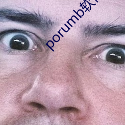 porumb软件下载