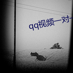 qq视频一对一服务