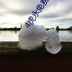 4虎永免费最新2021跳转