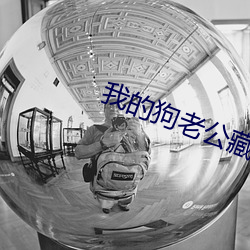 我的狗老公(公)藏(藏)獒格(格)桑下(下)载(載)