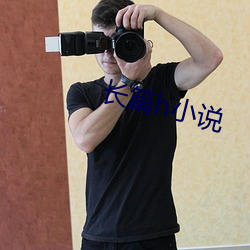 長篇h小說
