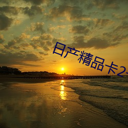 ղ品卡2卡三卡4司 鱼静）