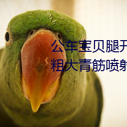 公车宝贝腿开点第12章 新闻 紫黑粗大青筋喷射浓稠