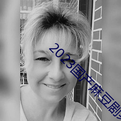2023国产麻豆剧果冻传媒入口 （东捱西问）