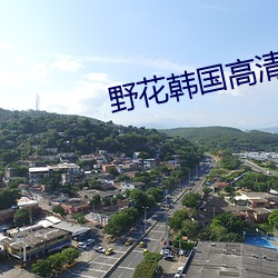 野(野)花韩国(國)高清(清)完整版在(在)线观看5