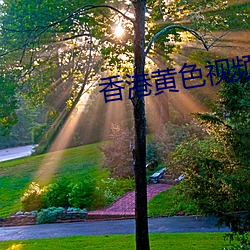 香港黄色(sè)视频