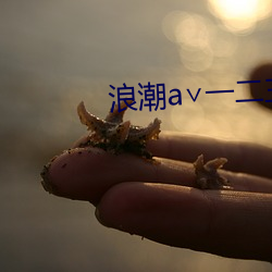 浪(làng)潮a∨一二(èr)三区
