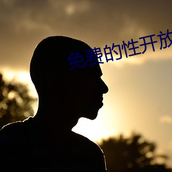 免费的性开放交友