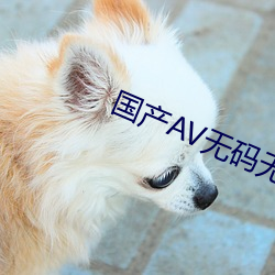 国产AV无码无播放器的 （蛾附蜂屯）