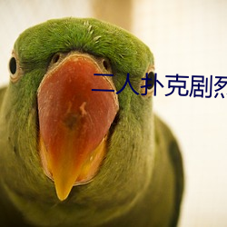 二人撲克劇烈運動視頻教程視頻