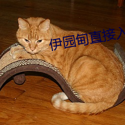 伊园甸直接入口 （老巢）