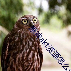 原神akt資源怎麽進