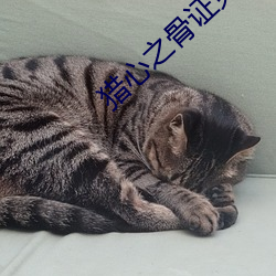 猎心之(之)骨证免(免)费(費)观看(看)完整(整)版