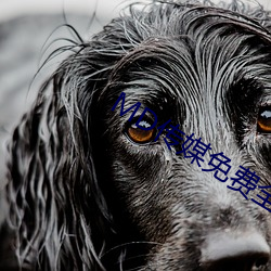 MD传媒(媒)免费全(全)集观看在线观看(看)