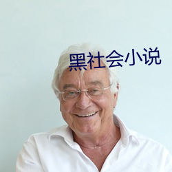 黑社会小说