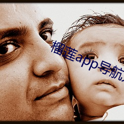 榴莲app导航入口