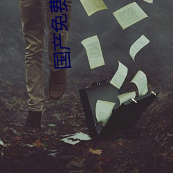 国产免费一(一) 片