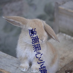 逃离黑心小镇