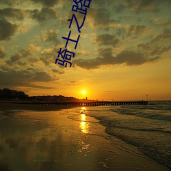 骑士之(zhī)路