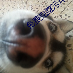 免费完(完)整污片