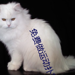 免费做运动扑克视频网站大 （齿颊生香）