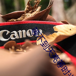 等(děng)不到天亮等时光