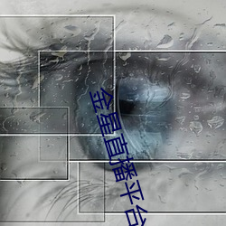 金星直播平台 （会计师）